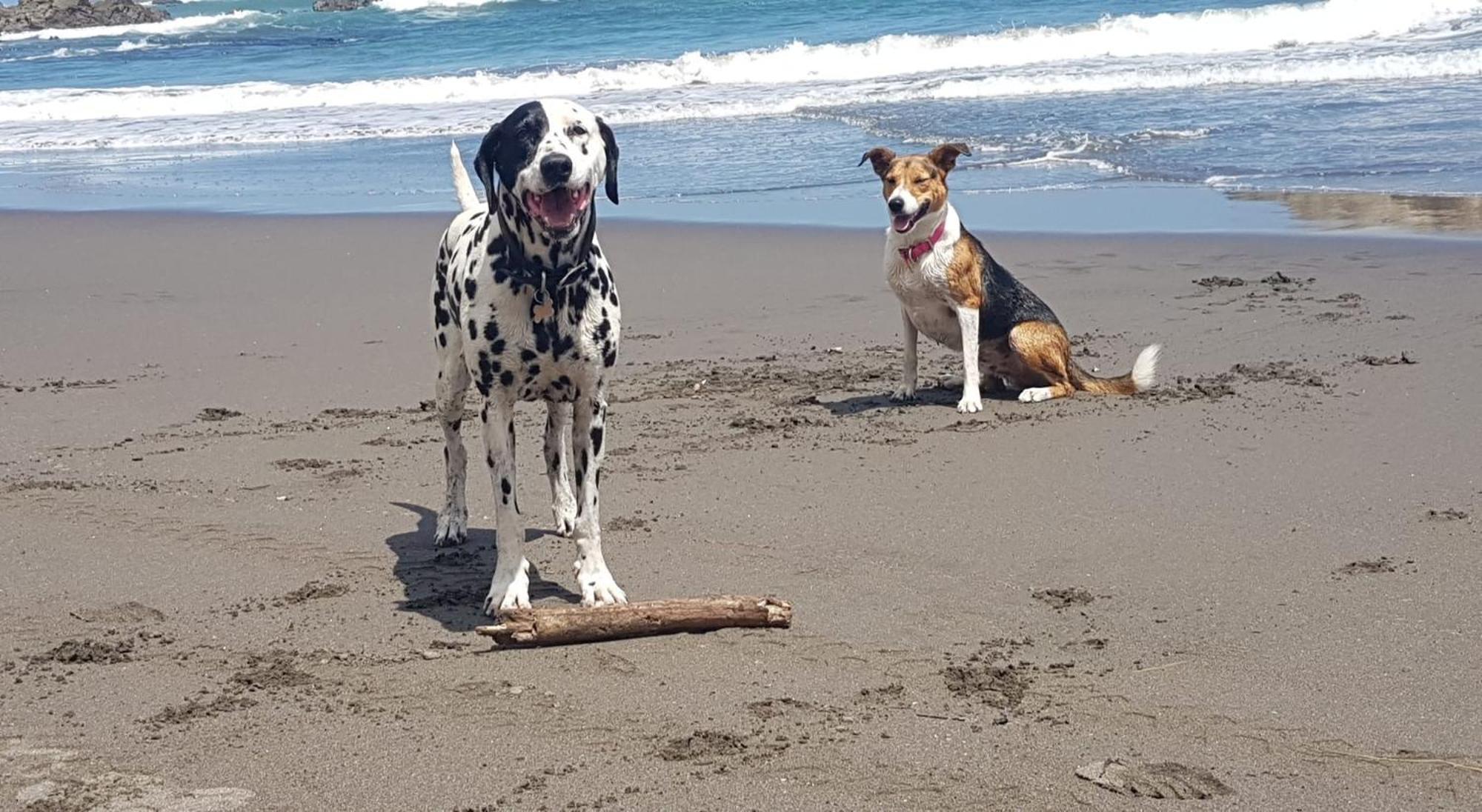 Port Waikato Holiday Park Екстериор снимка