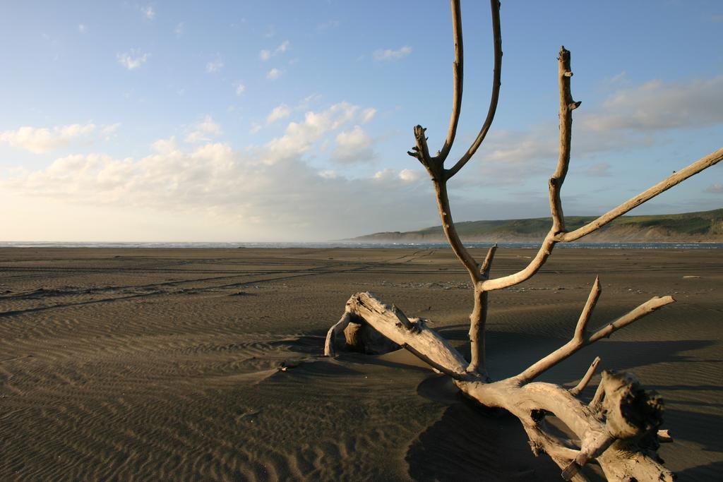 Port Waikato Holiday Park Екстериор снимка